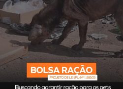 WhatsApp Image 2025-11-14 at 16.04.37